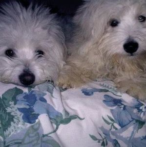 Meet your Posher, Marilyn